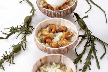 Langues d'oursin sur lit de tartare de Saint-Jacques, espuma de whisky tourbé