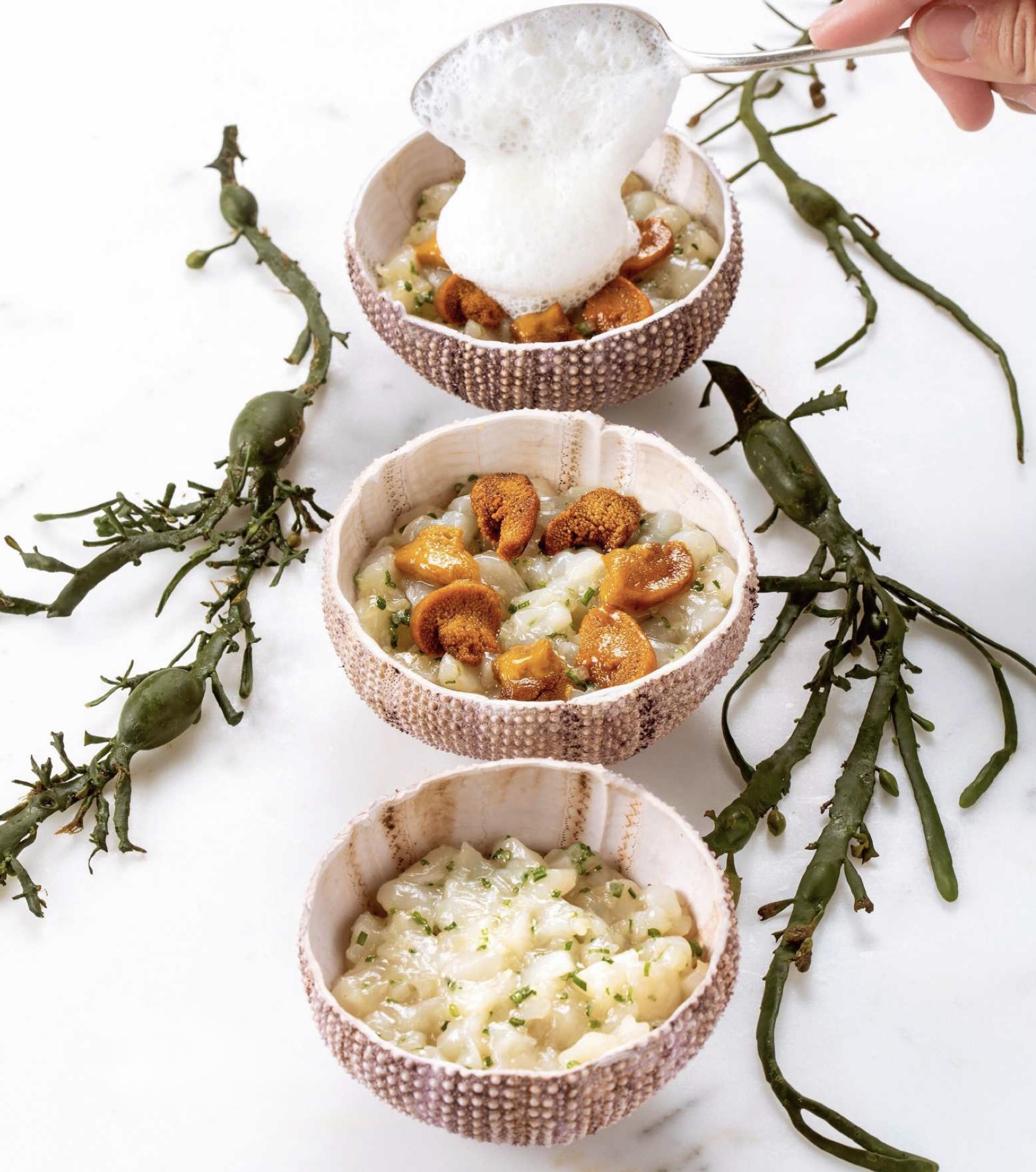 Langues d'oursin sur lit de tartare de Saint-Jacques, espuma de whisky tourbé