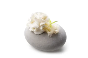 Espuma aux algues