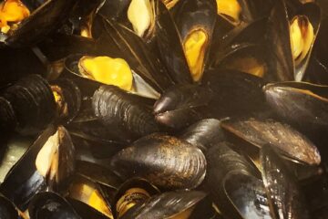 Moules marinières