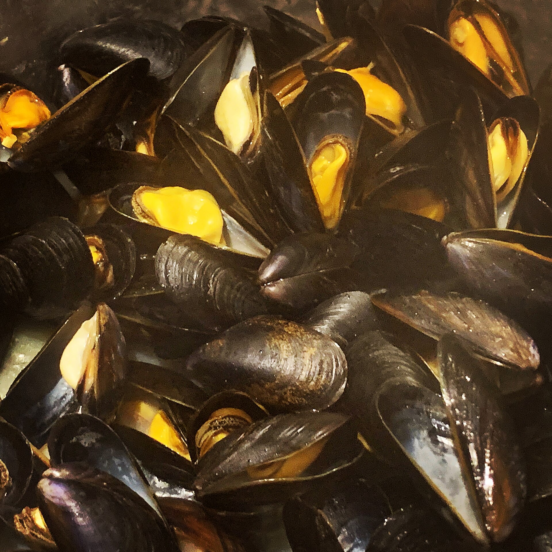 Moules marinières